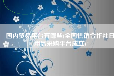 国内贸易平台有哪些(全国供销合作社日用品采购平台成立)