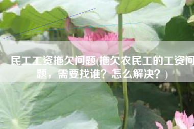 民工工资拖欠问题(拖欠农民工的工资问题，需要找谁？怎么解决？)