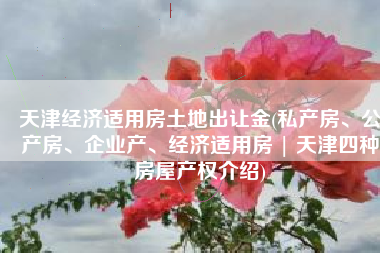 天津经济适用房土地出让金(私产房、公产房、企业产、经济适用房 | 天津四种房屋产权介绍)