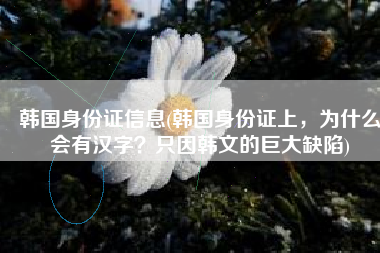 韩国身份证信息(韩国身份证上，为什么会有汉字？只因韩文的巨大缺陷)