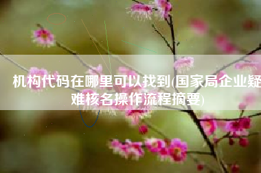 机构代码在哪里可以找到(国家局企业疑难核名操作流程摘要)