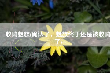 收购魅族(确认了，魅族终于还是被收购了)