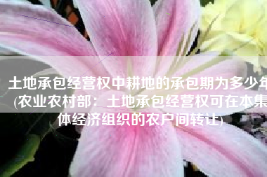 土地承包经营权中耕地的承包期为多少年(农业农村部：土地承包经营权可在本集体经济组织的农户间转让)