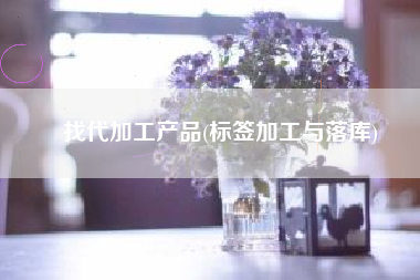 找代加工产品(标签加工与落库)