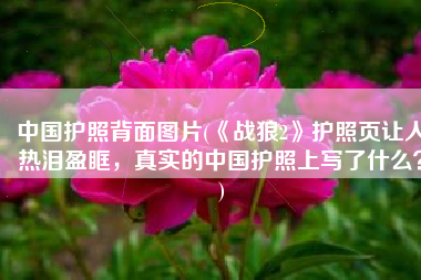 中国护照背面图片(《战狼2》护照页让人热泪盈眶，真实的中国护照上写了什么？)