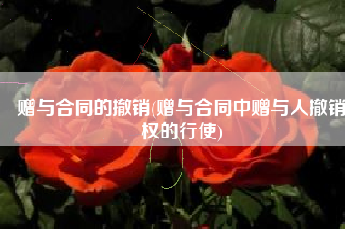 赠与合同的撤销(赠与合同中赠与人撤销权的行使)