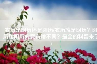 农历是阴历还是阳历(农历就是阴历？阳历和阴历究竟有啥不同？最全的科普来了)