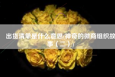 出货清单是什么意思(神奇的微商组织故事（二）)