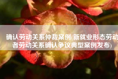 确认劳动关系仲裁案例(新就业形态劳动者劳动关系确认争议典型案例发布)
