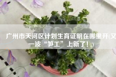 广州市天河区计划生育证明在哪里开(又一波“笋工”上新了！)
