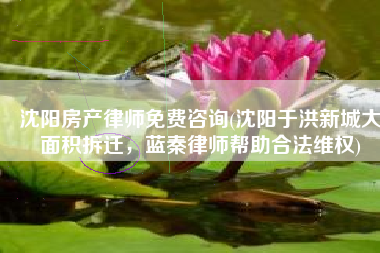 沈阳房产律师免费咨询(沈阳于洪新城大面积拆迁，蓝秦律师帮助合法维权)