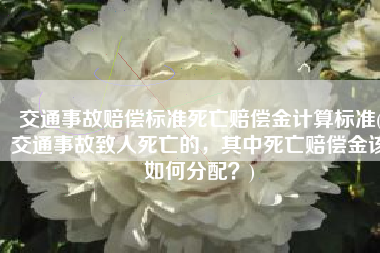 交通事故赔偿标准死亡赔偿金计算标准(交通事故致人死亡的，其中死亡赔偿金该如何分配？)
