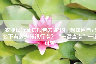农业银行征信报告去哪里打(想知道自己名下有多少张银行卡？“一键查卡”一键可查)