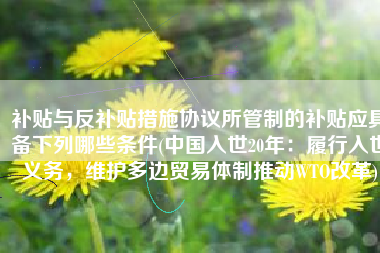 补贴与反补贴措施协议所管制的补贴应具备下列哪些条件(中国入世20年：履行入世义务，维护多边贸易体制推动WTO改革)