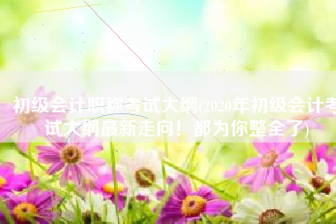 初级会计职称考试大纲(2020年初级会计考试大纲最新走向！都为你整全了)