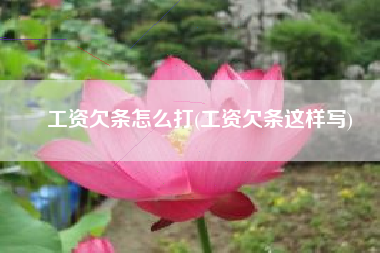 工资欠条怎么打(工资欠条这样写)