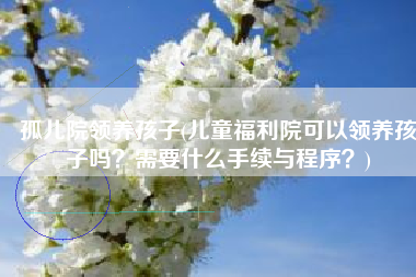 孤儿院领养孩子(儿童福利院可以领养孩子吗？需要什么手续与程序？)