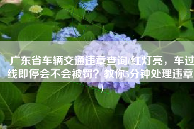 广东省车辆交通违章查询(红灯亮，车过线即停会不会被罚？教你5分钟处理违章！)