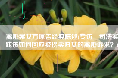 离婚案女方原告经典陈述(专访〡司法实践该如何回应被拐卖妇女的离婚诉求？)