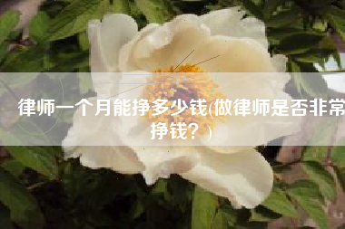律师一个月能挣多少钱(做律师是否非常挣钱？)