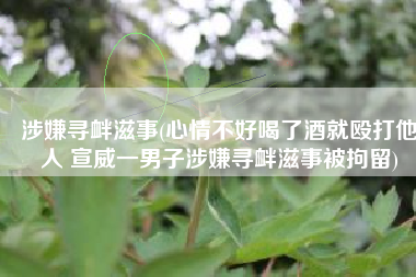 涉嫌寻衅滋事(心情不好喝了酒就殴打他人 宣威一男子涉嫌寻衅滋事被拘留)