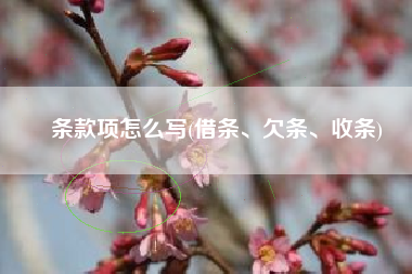 条款项怎么写(借条、欠条、收条)