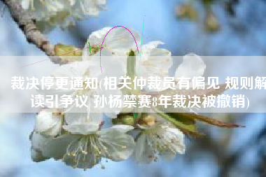 裁决停更通知(相关仲裁员有偏见 规则解读引争议 孙杨禁赛8年裁决被撤销)