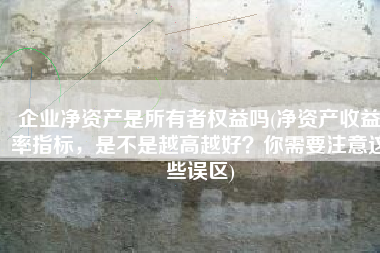 企业净资产是所有者权益吗(净资产收益率指标，是不是越高越好？你需要注意这些误区)
