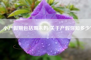 小产假期包括周末吗(关于产假你知多少？)