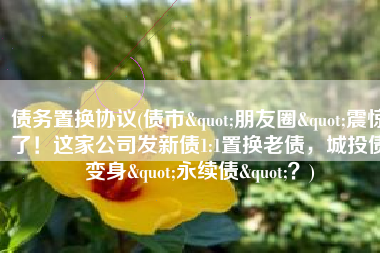 债务置换协议(债市"朋友圈"震惊了！这家公司发新债1:1置换老债，城投债变身"永续债"？)