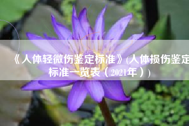 《人体轻微伤鉴定标准》(人体损伤鉴定标准一览表（2021年）)