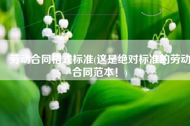 劳动合同格式标准(这是绝对标准的劳动合同范本！)