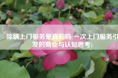 除螨上门服务是真的吗(一次上门服务引发的商业与认知思考)