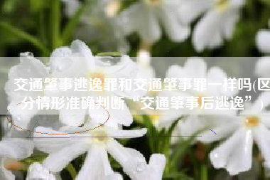 交通肇事逃逸罪和交通肇事罪一样吗(区分情形准确判断“交通肇事后逃逸”)