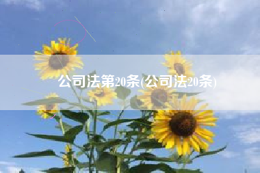 公司法第20条(公司法20条)