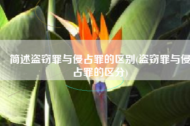 简述盗窃罪与侵占罪的区别(盗窃罪与侵占罪的区分)