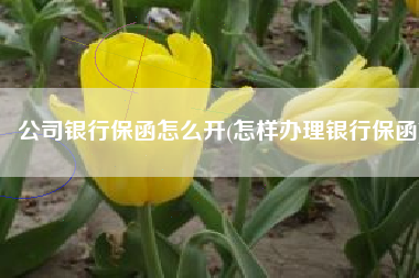 公司银行保函怎么开(怎样办理银行保函)