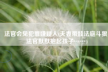 法官会见犯罪嫌疑人(夫妻带娃法庭斗狠，法官默默抱起孩子……)