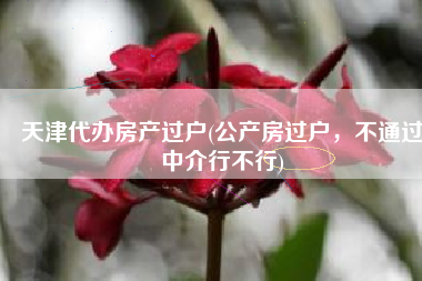 天津代办房产过户(公产房过户，不通过中介行不行)