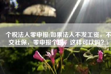 个税法人零申报(如果法人不发工资，不交社保，零申报个税，这样可以吗？)