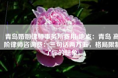 青岛婚姻律师事务所费用(地点：青岛 高阶律师咨询费：三句话两万五，格局限制了你的想象)