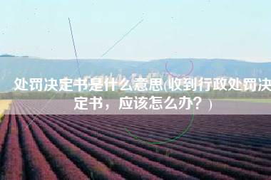 处罚决定书是什么意思(收到行政处罚决定书，应该怎么办？)