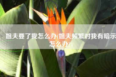 姐夫要了我怎么办(姐夫频繁对我有暗示怎么办?)