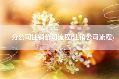分公司注销公司流程(注销公司流程)