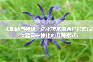 太阳能与建筑一体化技术的两种形式(光伏建筑一体化的几种形式)
