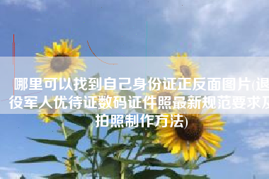 哪里可以找到自己身份证正反面图片(退役军人优待证数码证件照最新规范要求及拍照制作方法)