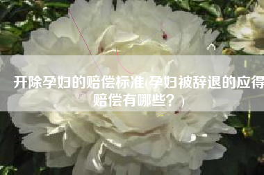 开除孕妇的赔偿标准(孕妇被辞退的应得赔偿有哪些？)
