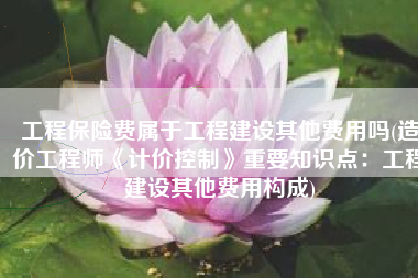 工程保险费属于工程建设其他费用吗(造价工程师《计价控制》重要知识点：工程建设其他费用构成)