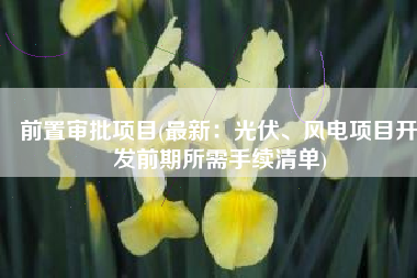 前置审批项目(最新：光伏、风电项目开发前期所需手续清单)