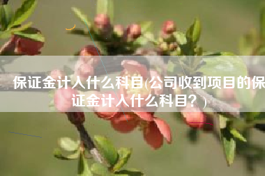 保证金计入什么科目(公司收到项目的保证金计入什么科目？)